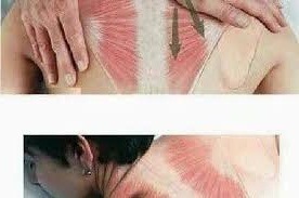 طريقة عمل المساج الصحيحيه